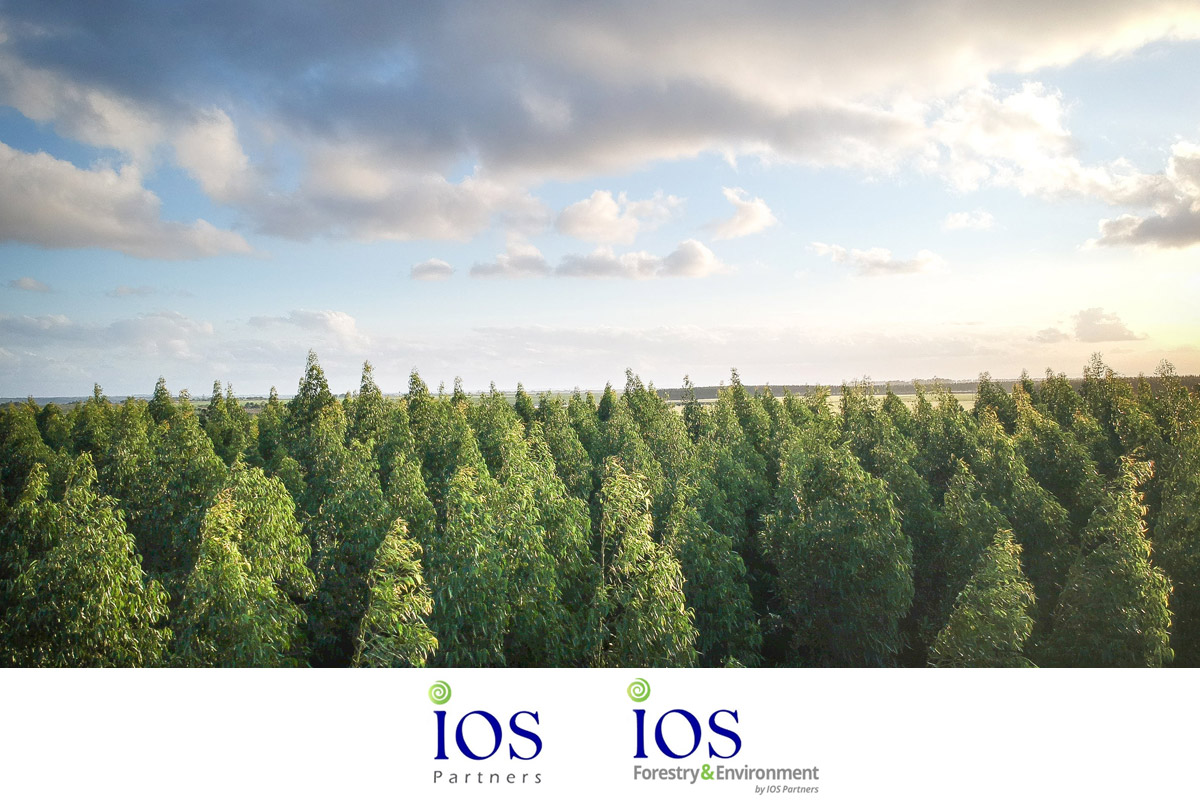 ios-forestry